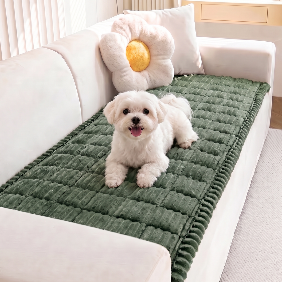White Maltese on the green FurGuard plush couch cover