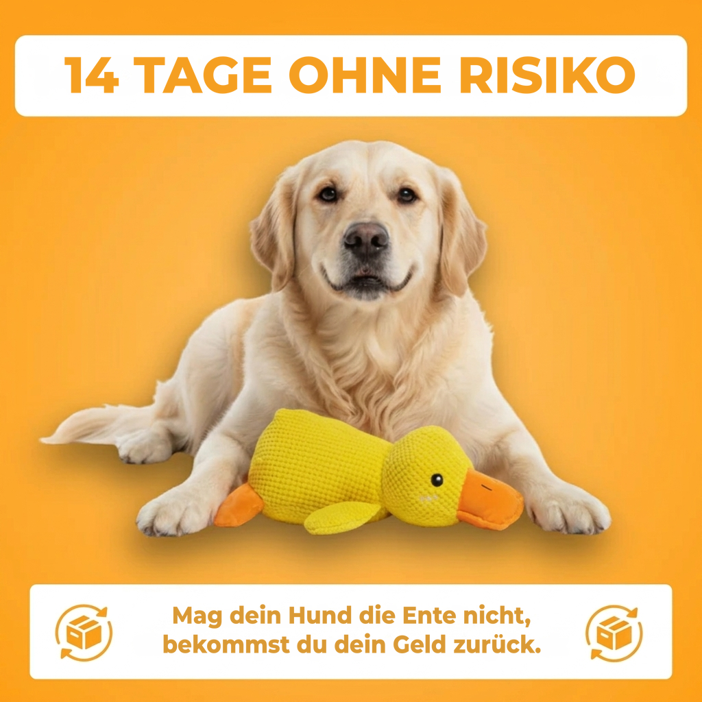 Anti-Stress Duck™: Das Quaken, das beruhigt