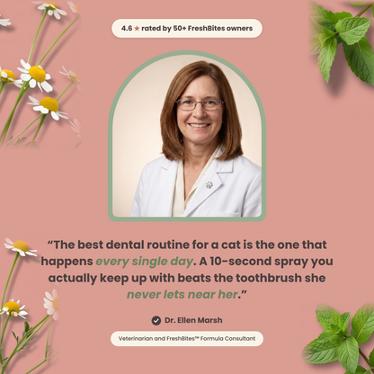 FreshBites™ Cat Dental Spray - Fresh Breath & Clean-Looking Teeth, No Brushing