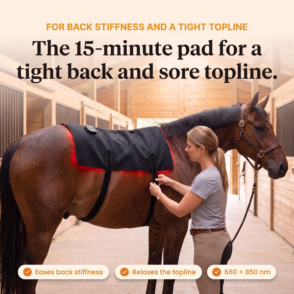 RedHoof™ Back Pad: The 15-Minute Pad for a Tight Back and Sore Topline