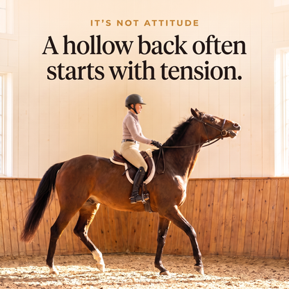 Rider on a bay horse in an indoor arena, a hollow back often starts with tension