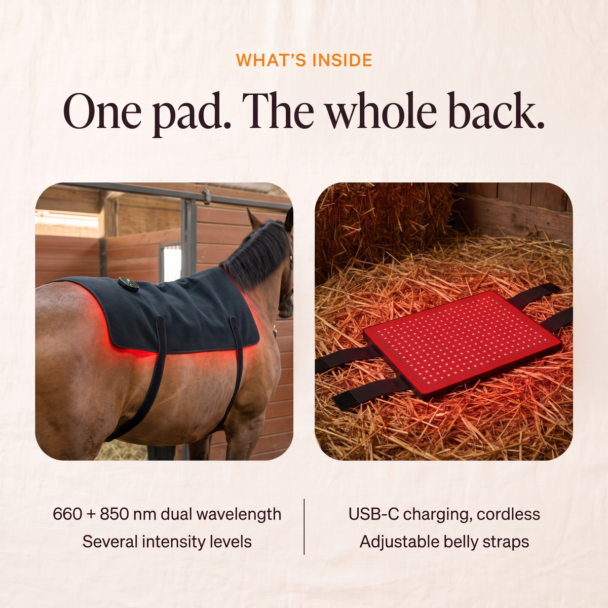 RedHoof back pad on the horse and opened flat with the red LED grid, 660 + 850 nm, several intensity levels, USB charging, belly straps
