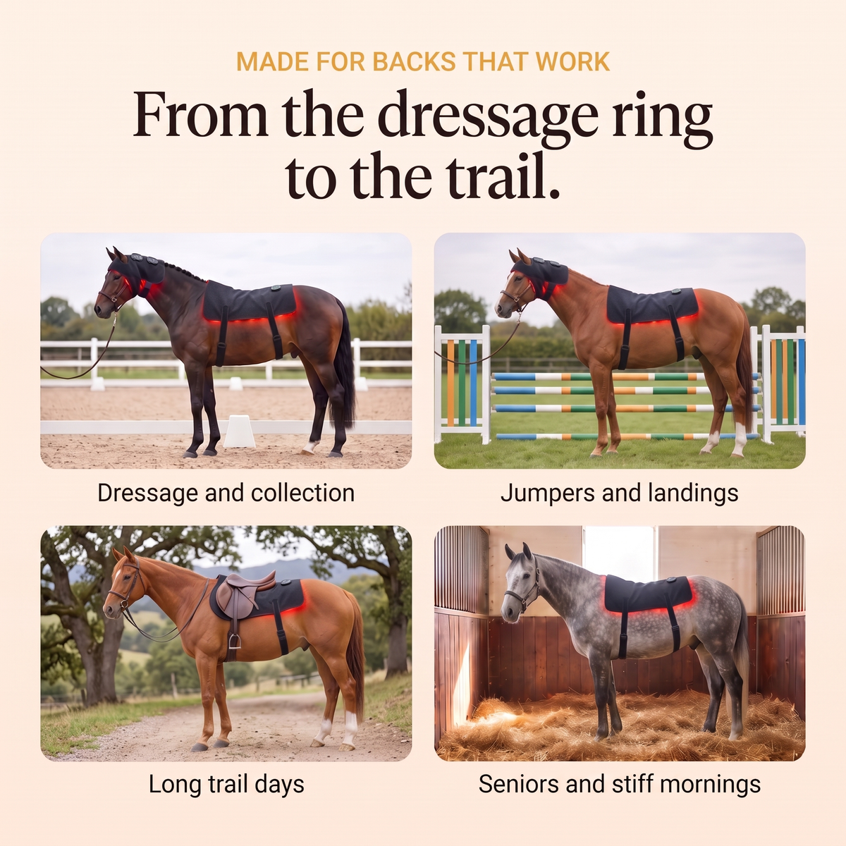 Four horses wearing the RedHoof back pad: dressage, jumping, trail and a senior horse in a stall