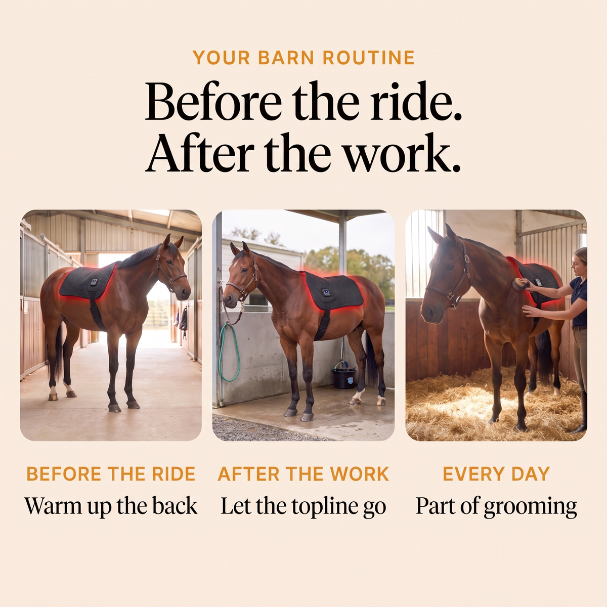 RedHoof back pad before the ride, after the work and every day as part of grooming