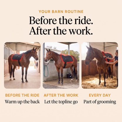 RedHoof back pad before the ride, after the work and every day as part of grooming