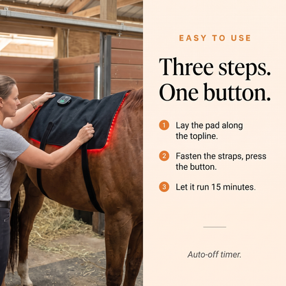 Three steps to use the RedHoof back pad: lay it along the topline, fasten the straps, let it run 15 minutes
