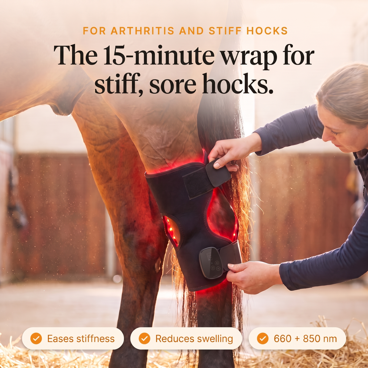 Woman fastening the glowing RedHoof hock wrap on a horse's hind leg, the 15-minute wrap for stiff, sore hocks