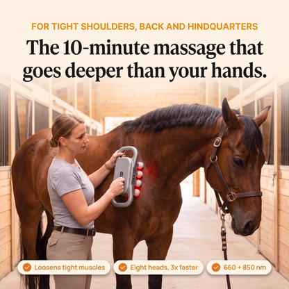 Woman using the RedHoof 8-head red light massage gun on the shoulder of a bay horse, the 10-minute massage that goes deeper than your hands