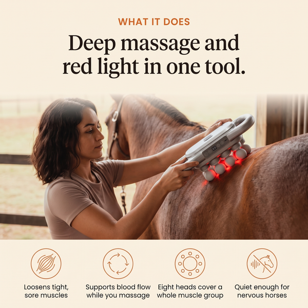 RedHoof™ Red Light Massage Gun: Deep Muscle Massage and Red Light in One Tool