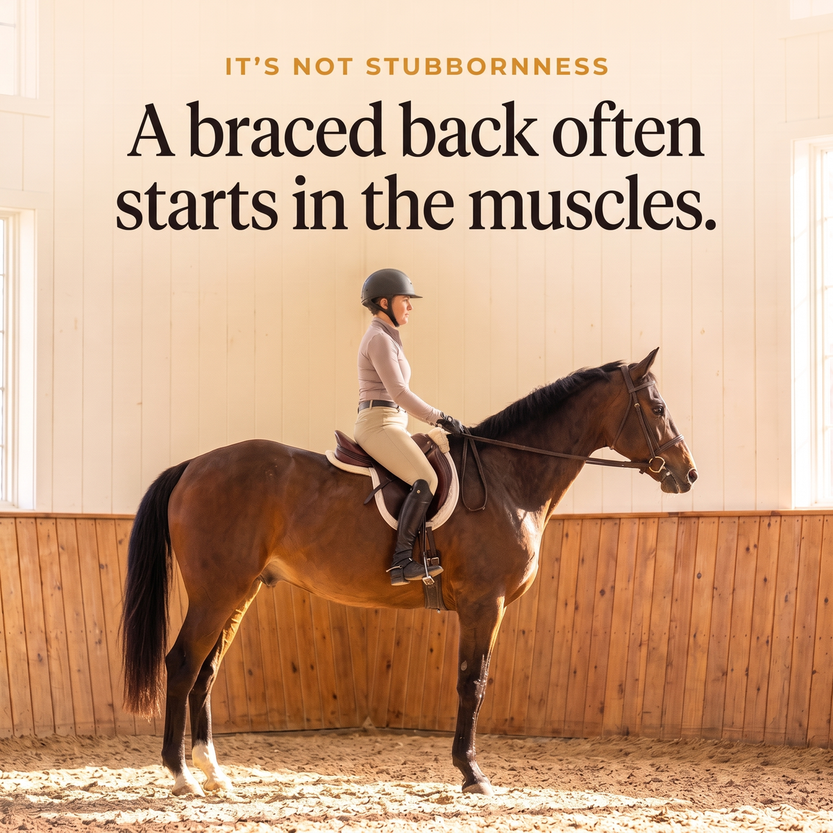 Rider on a bay horse in an indoor arena, a braced back often starts in the muscles