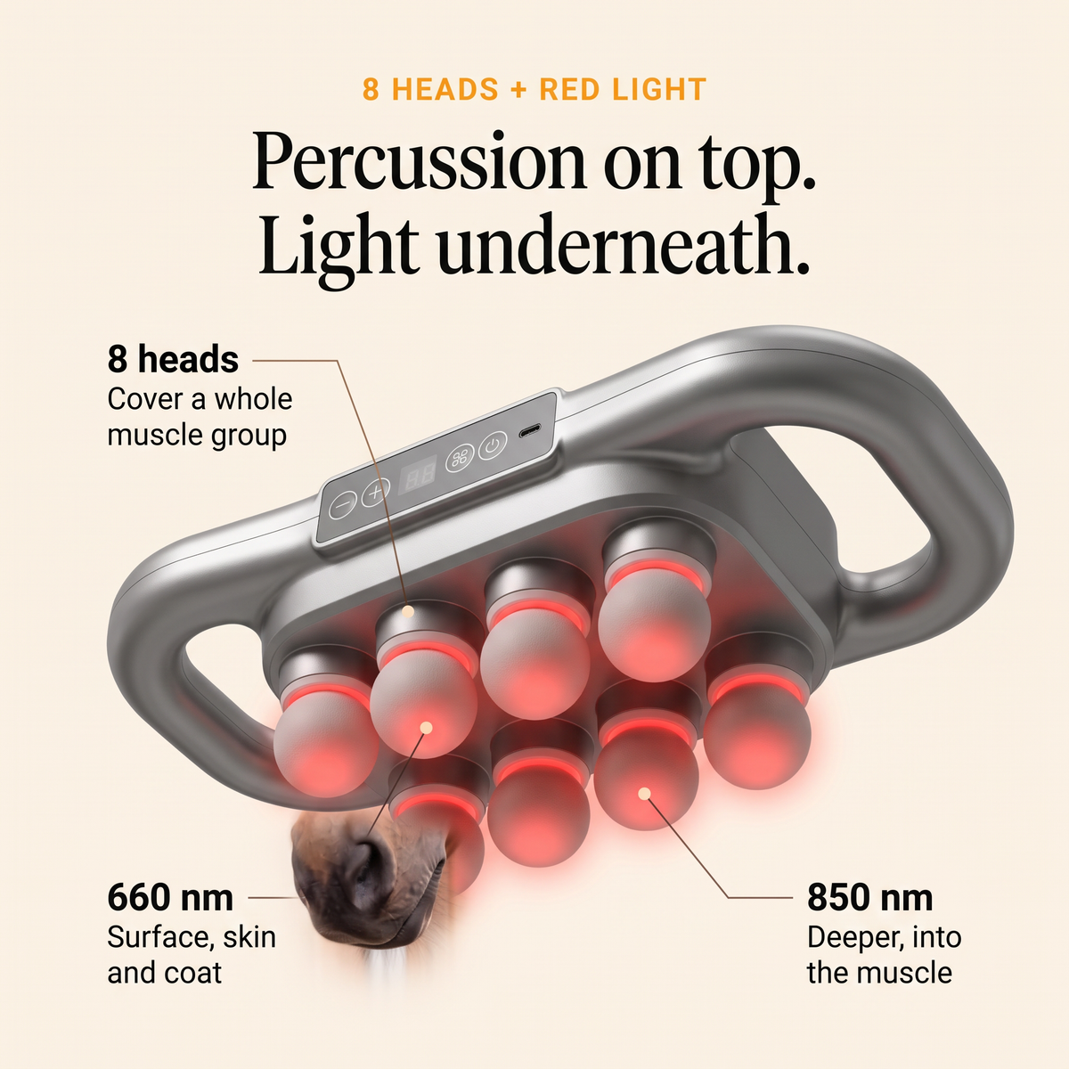 Close-up of the RedHoof massage gun with eight glowing heads, callouts for 8 heads, 660 nm and 850 nm