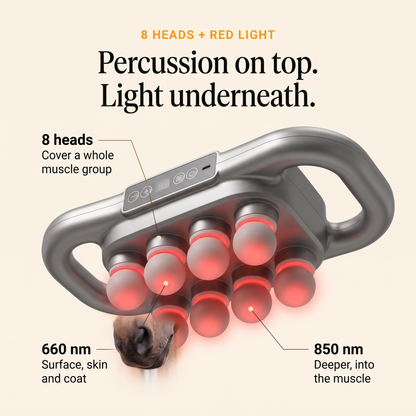 Close-up of the RedHoof massage gun with eight glowing heads, callouts for 8 heads, 660 nm and 850 nm