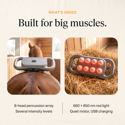 RedHoof massage gun from above and turned over showing the eight red light heads, 8-head array, intensity levels, quiet motor, USB charging