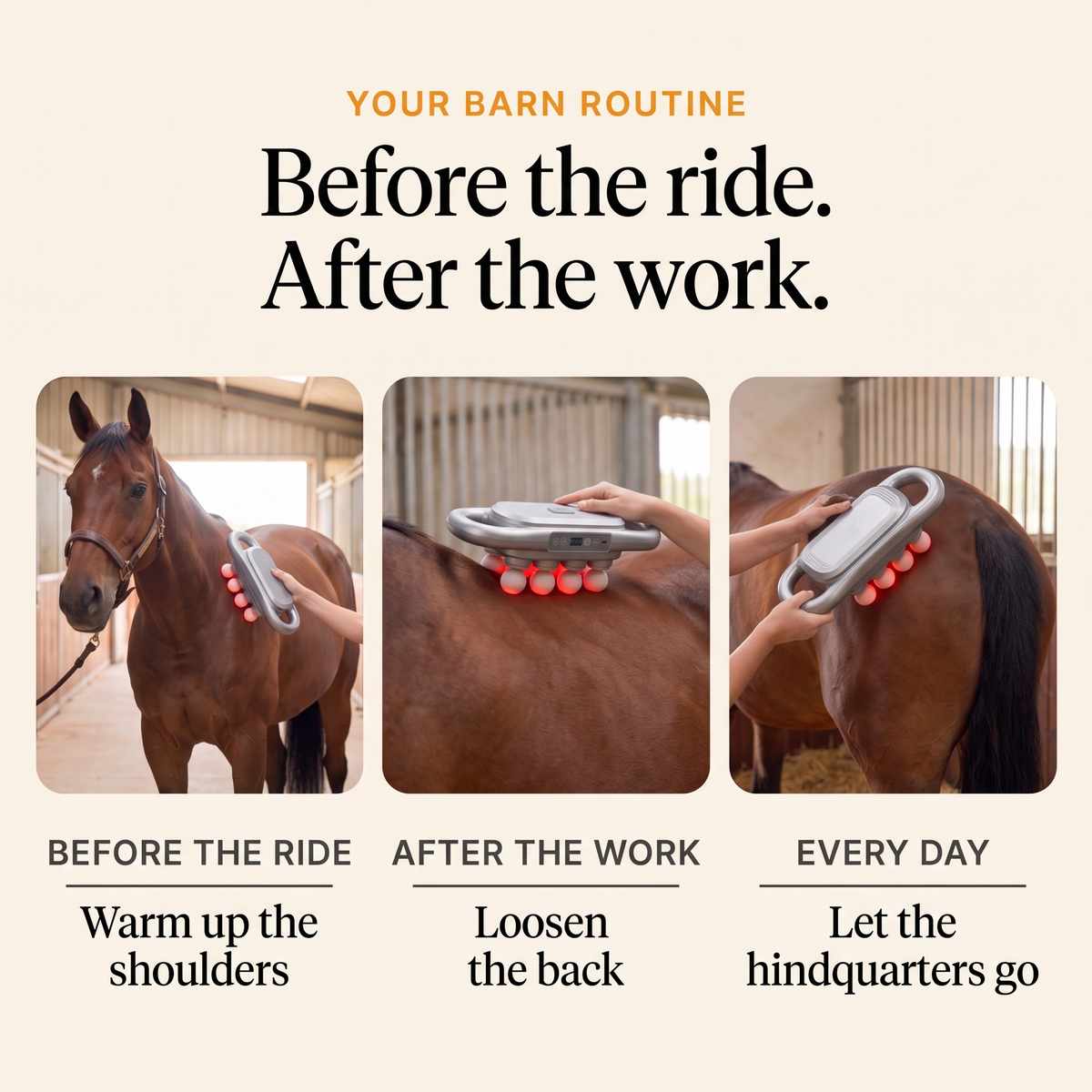 RedHoof massage gun before the ride on the shoulders, after work on the back, every day on the hindquarters