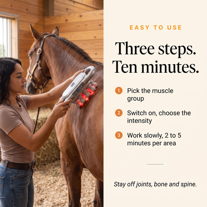 Three steps to use the RedHoof massage gun: pick the muscle group, choose the intensity, work slowly 2 to 5 minutes per area