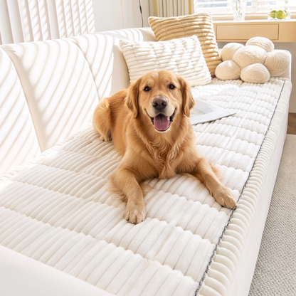 Golden retriever on the white FurGuard plush couch cover