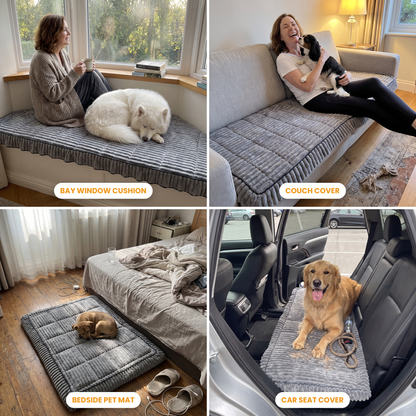 FurGuard uses: bay window cushion with a samoyed, couch cover with a cavalier spaniel, bedside pet mat with a puppy, car seat cover with a golden retriever