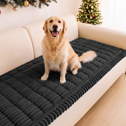 Golden retriever sitting on the charcoal FurGuard plush couch cover