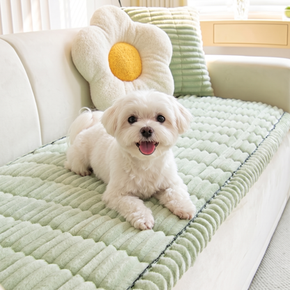 White Maltese on the mint FurGuard plush couch cover