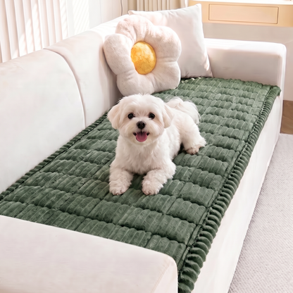 White Maltese on the green FurGuard plush couch cover