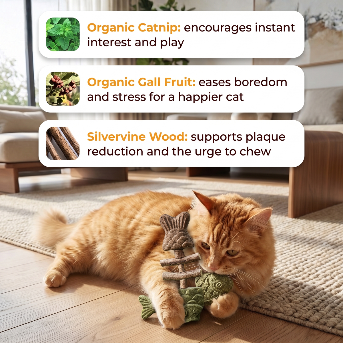 Orange cat hugging the PurrStick: organic catnip, organic gall fruit and silvervine wood explained