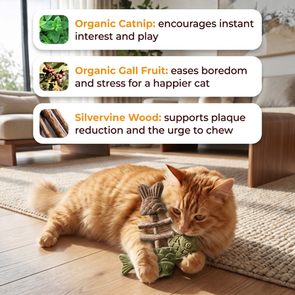 Orange cat hugging the PurrStick: organic catnip, organic gall fruit and silvervine wood explained