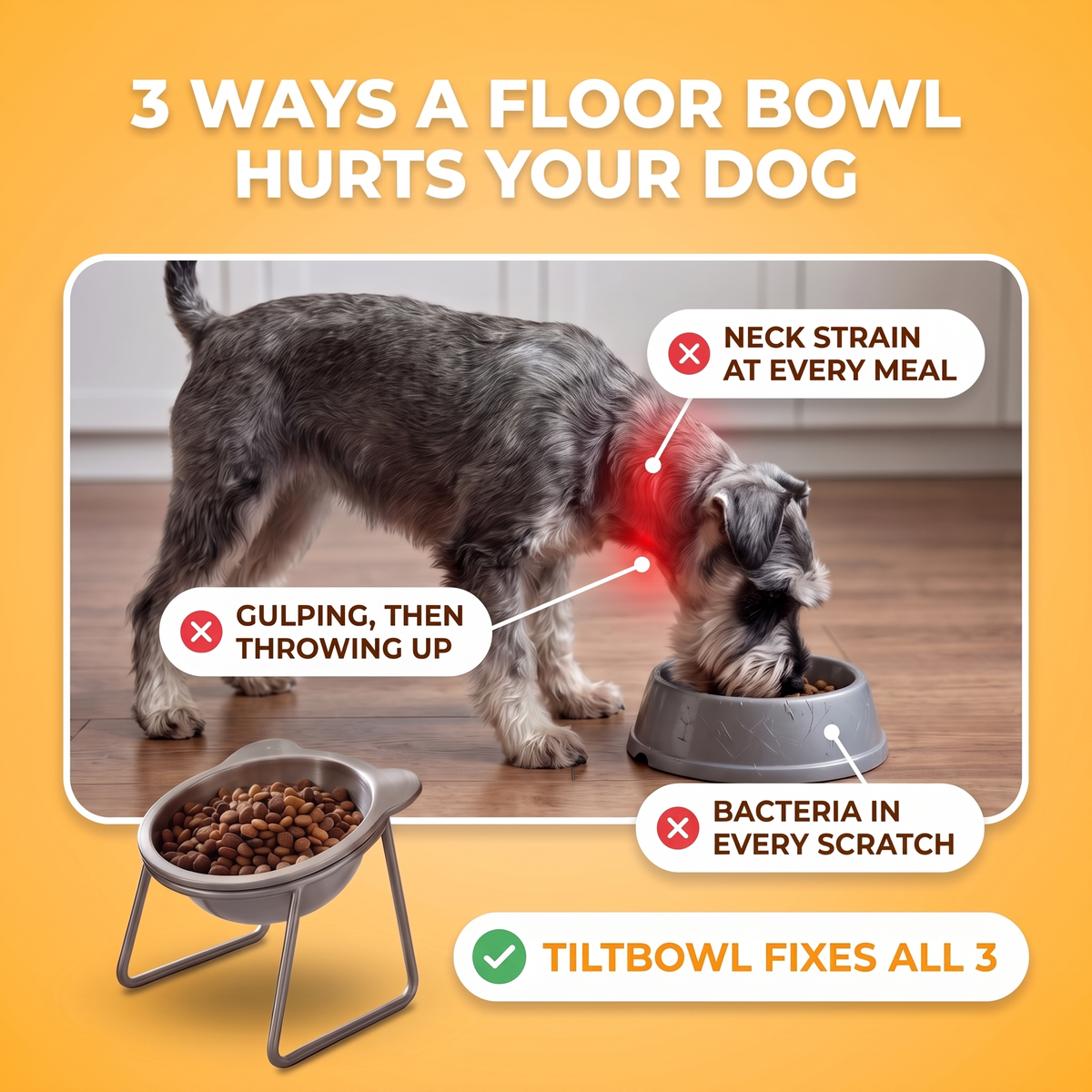 TiltBowl™ - Help Your Dog Eat More Comfortably