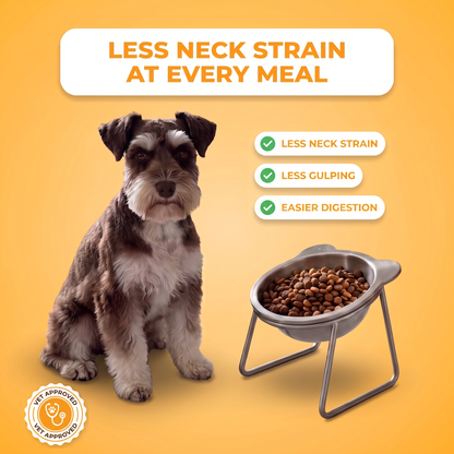 TiltBowl™ - Help Your Dog Eat More Comfortably