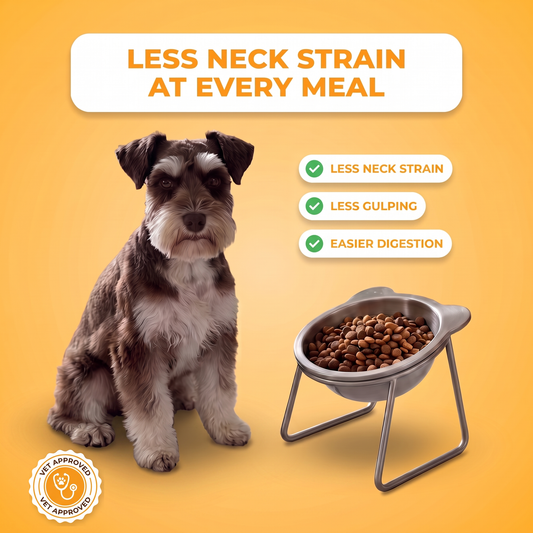 TiltBowl™ - Help Your Dog Eat More Comfortably