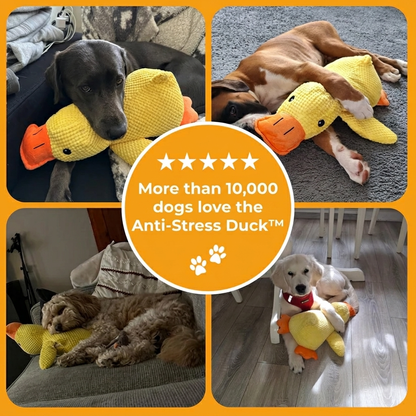 Anti-Stress Duck™
