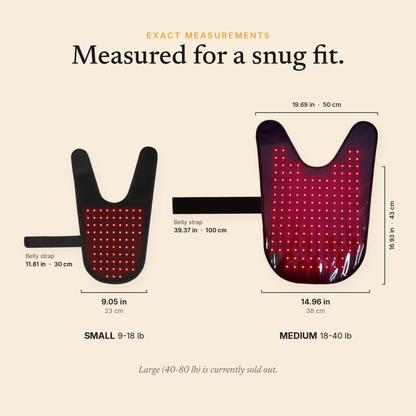 RedPaw exact measurements. Small: 9.05 in (23 cm) wide, 11.81 in (30 cm) belly strap. Medium: 14.96 in (38 cm) wide, 19.69 in (50 cm) across the top, 16.93 in (43 cm) long, 39.37 in (100 cm) belly strap.