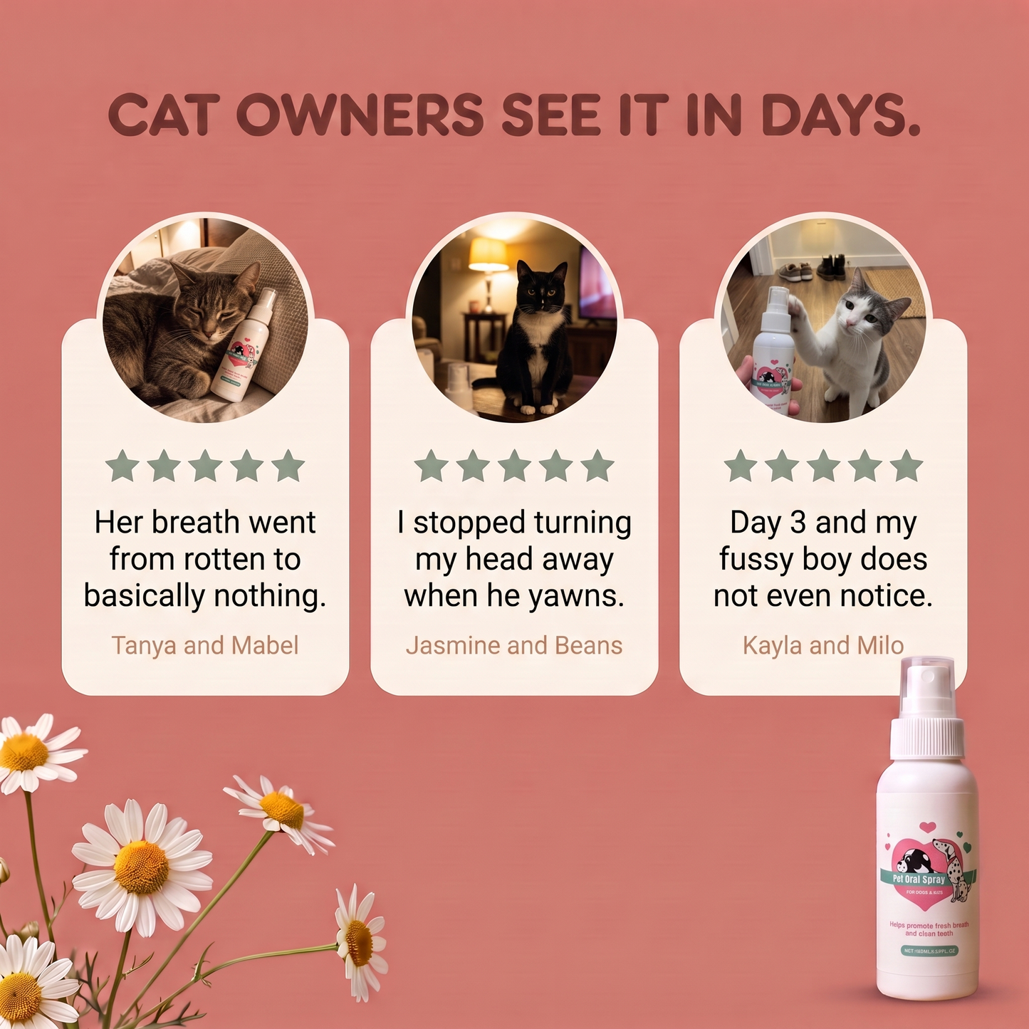FreshBites™ Cat Dental Spray - Fresh Breath & Clean-Looking Teeth, No Brushing