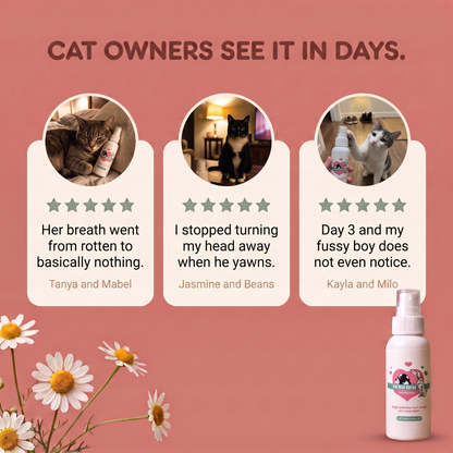 FreshBites™ Cat Dental Spray - Fresh Breath & Clean-Looking Teeth, No Brushing