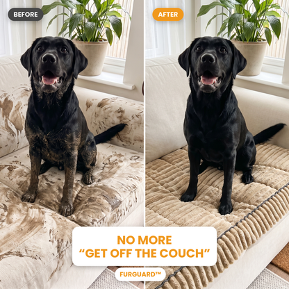 Before and after: black labrador on a mud-covered cream couch, then the same dog on the khaki FurGuard couch cover. No more get off the couch