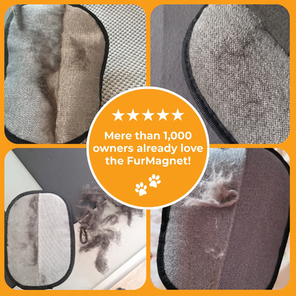 FurMagnet™ – Dog Hair Remover
