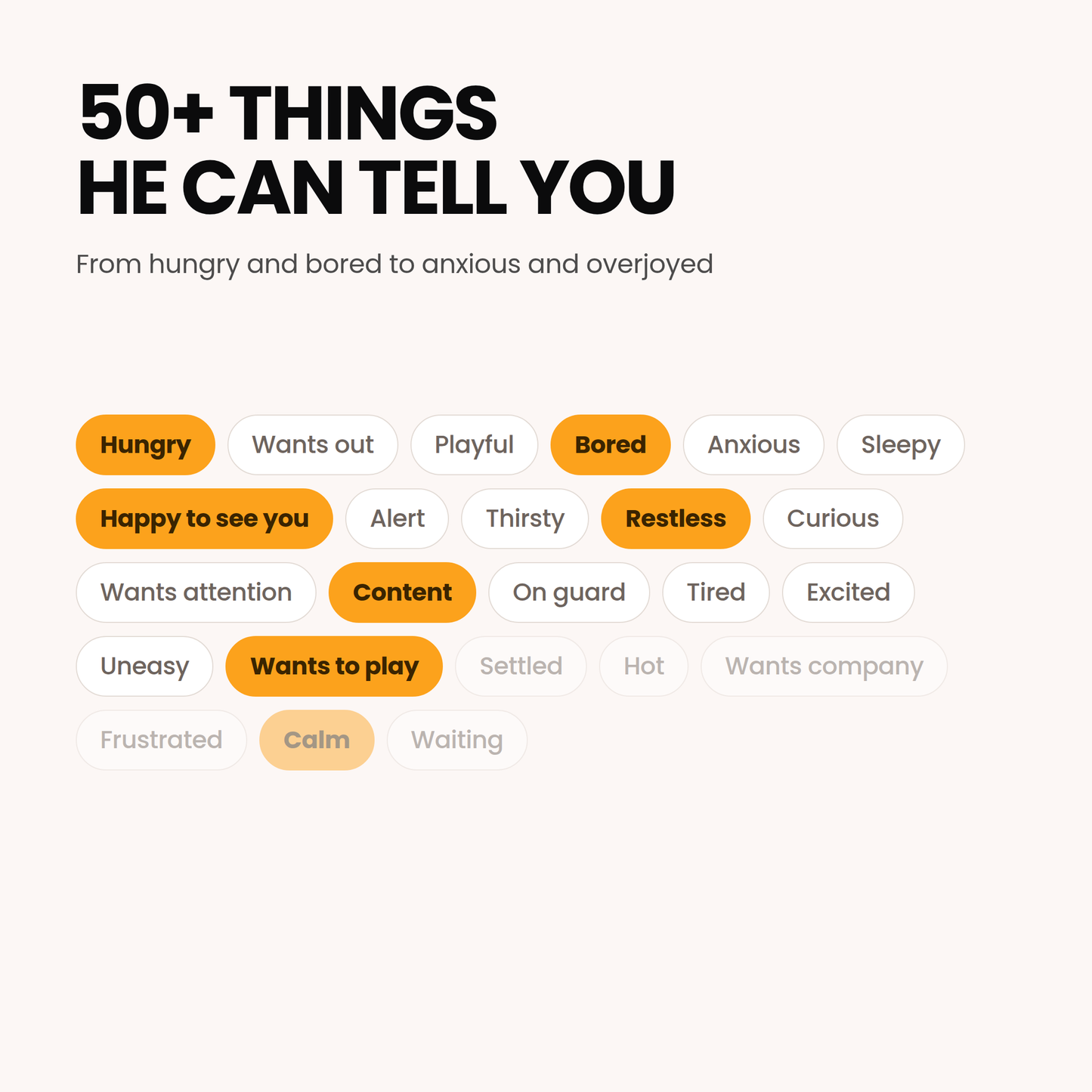 50 plus things he can tell you, from hungry and bored to anxious and overjoyed