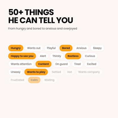 50 plus things he can tell you, from hungry and bored to anxious and overjoyed