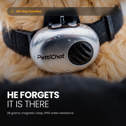 Close up of the device on a collar with water beads, 28 grams, magnetic clasp, IP65 water resistance