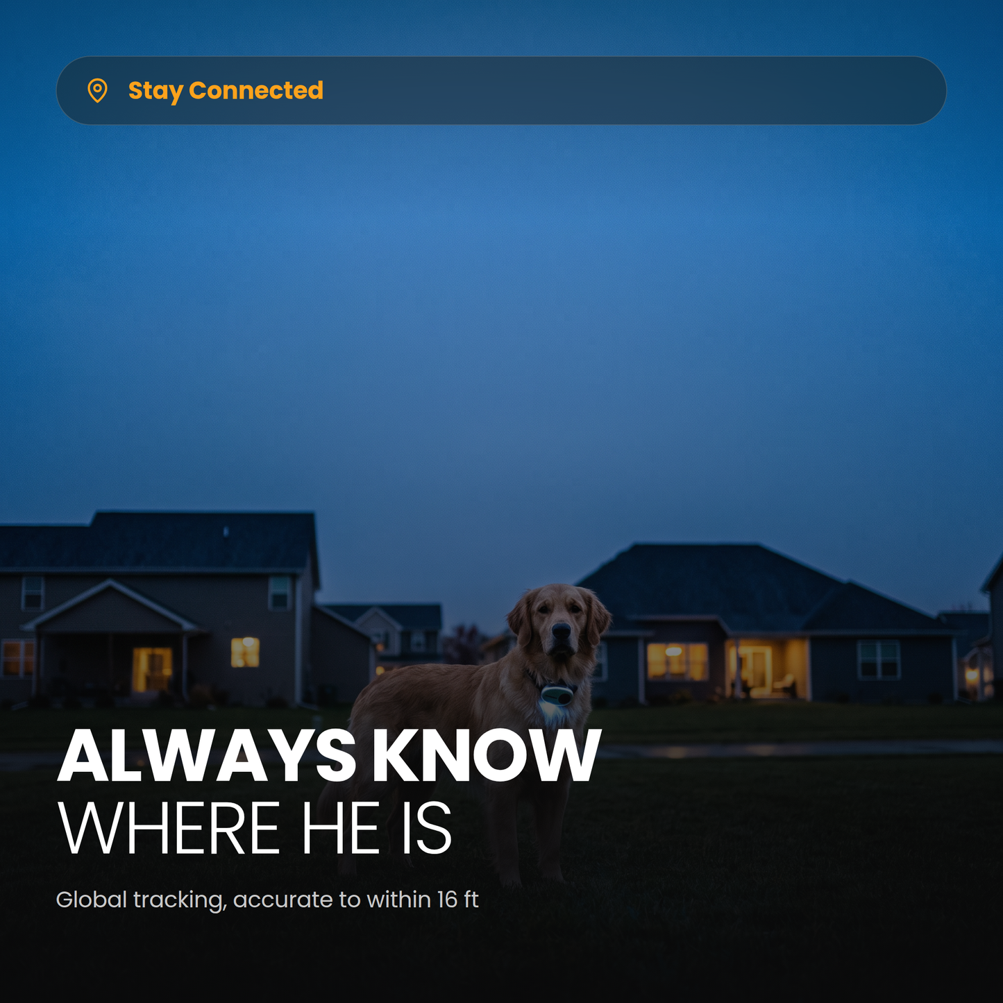 Dog in a garden at dusk with the device glowing, global tracking accurate to within 16 ft