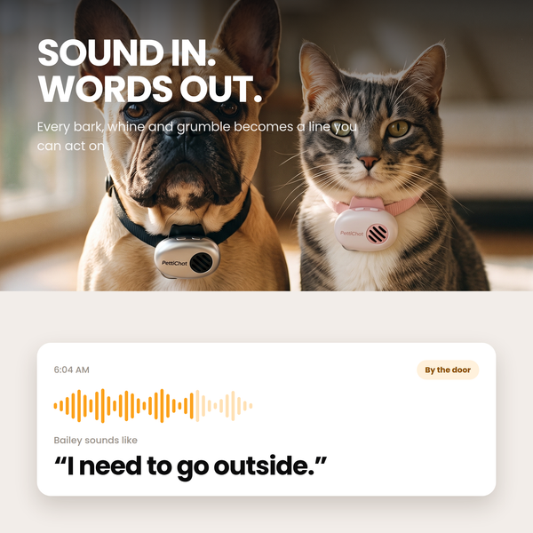 PettiChat™: Worlds First AI Pet Translator