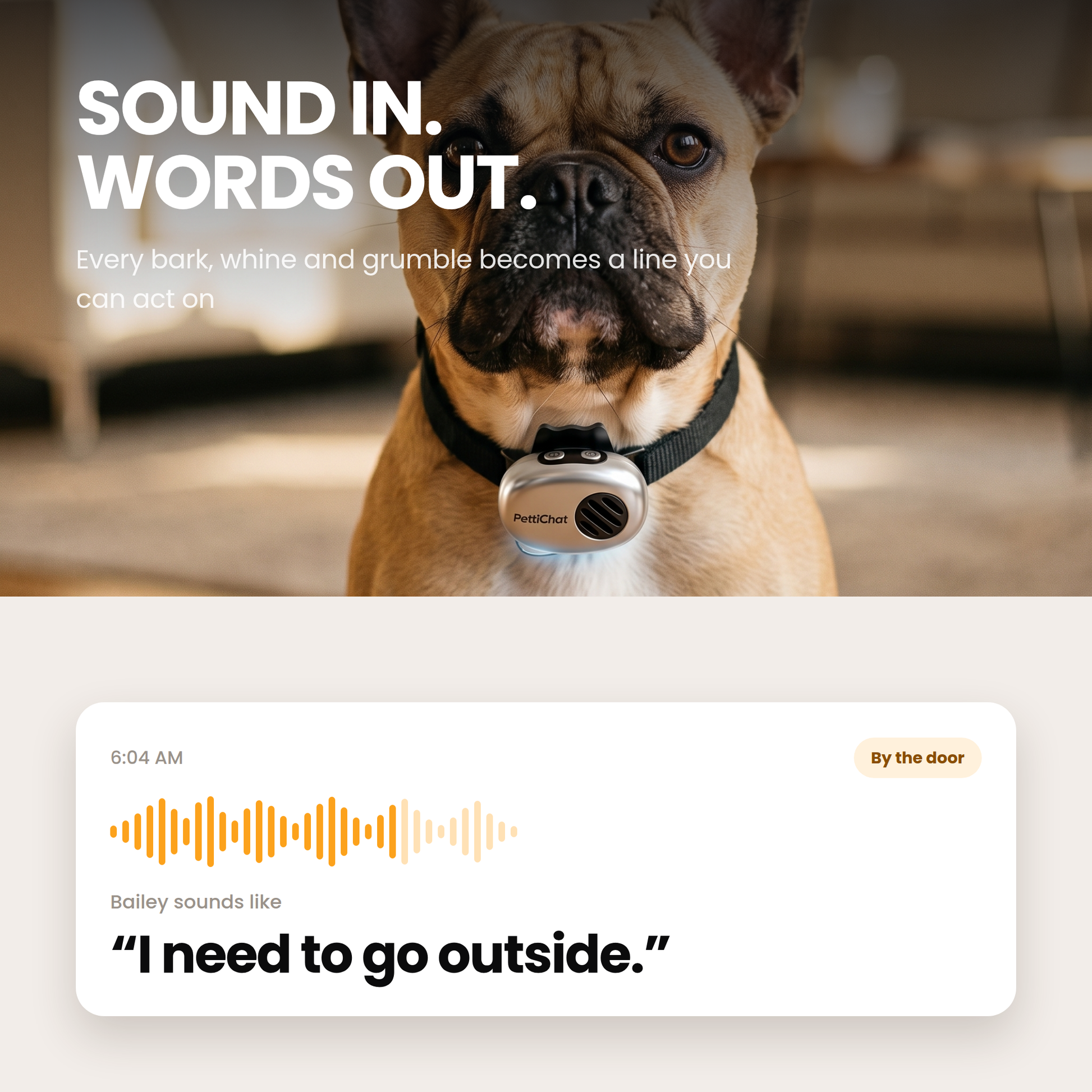 Sound in, words out: the dog makes a sound and the app shows the reading, I need to go outside