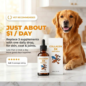 Collagen 3X for Dogs: Daily Support for Skin, Coat & Joints