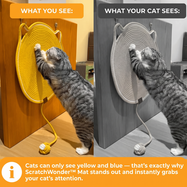 ScratchWonder™ Mat