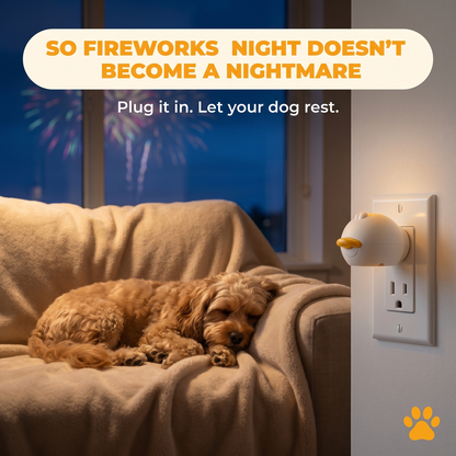 Outcome Lifestyle — a dog resting calmly while fireworks happen outside, calming diffuser active in a US outlet. So fireworks night doesn't become a nightmare.