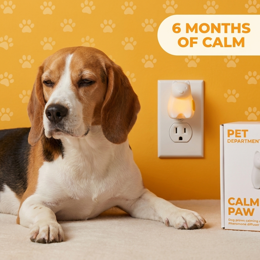 CalmPaw Diffuser — a calm beagle next to the plug-in pheromone diffuser on a yellow paw-print background. 6 Months of Calm.