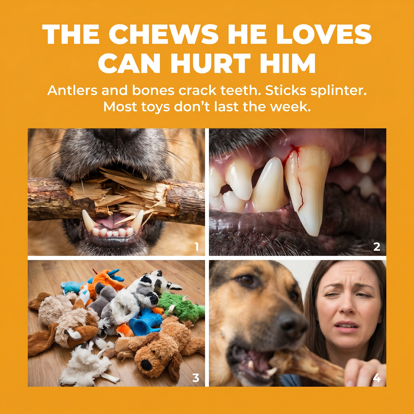 Why antlers, bones and sticks hurt dogs — cracked teeth, splinters, and destroyed toys