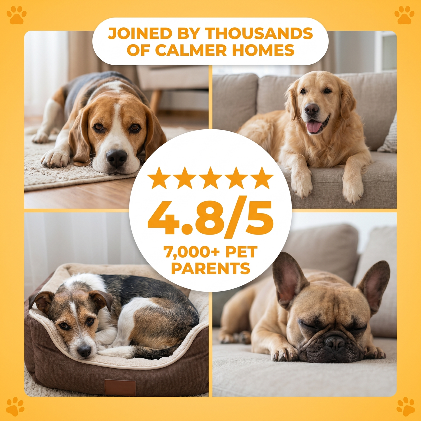 Joined by thousands of calmer homes: 4.8 out of 5 from 7,000 plus pet parents
