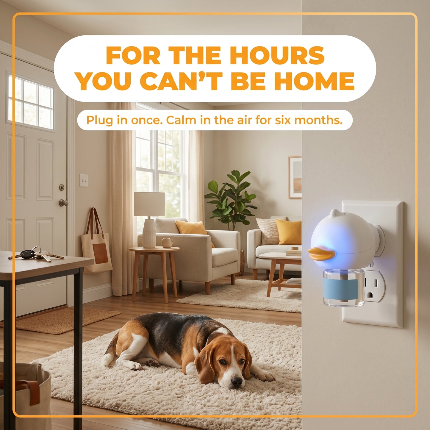 For the hours you cannot be home: dog resting calmly alone with CalmPaw plugged in