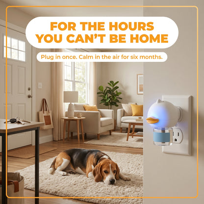 For the hours you cannot be home: dog resting calmly alone with CalmPaw plugged in