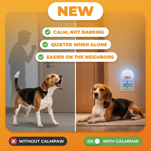 CalmPaw before and after: dog barking at the door alone versus calm and resting with the diffuser